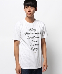 STUSSY | International Script Tee(Tシャツ/カットソー)