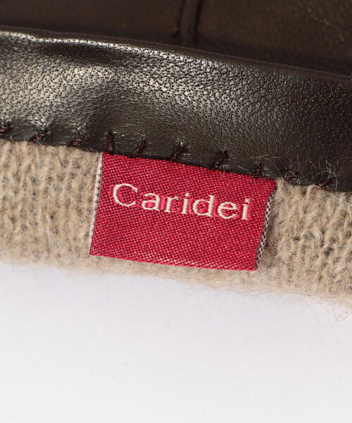 UNITED ARROWS（ユナイテッドアローズ）の「手袋（手袋・レディース・ダークブラウン・FREE）」の5枚目の写真