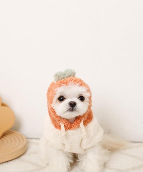 moncheri(モンシェリ)の「フルーツフードボアパーカー(ペットウェア・レディース・オレンジ/ピンク・S/L/XL/M/2M/XS)」の5枚目の写真