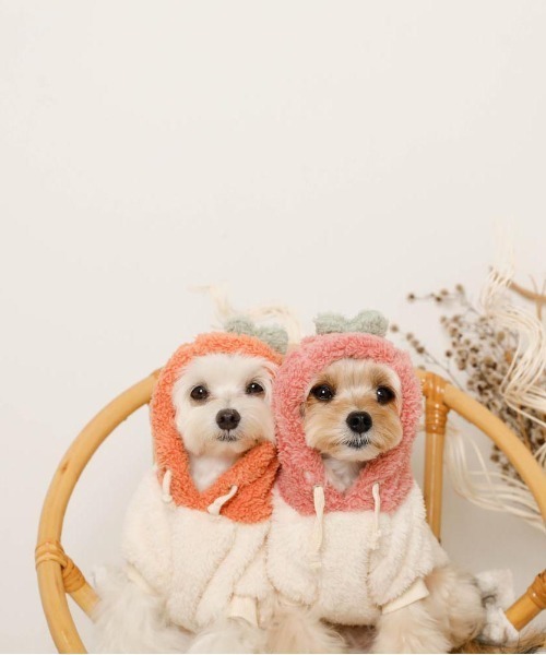 moncheri(モンシェリ)の「フルーツフードボアパーカー(ペットウェア・レディース・オレンジ/ピンク・S/L/XL/M/2M/XS)」の7枚目の写真