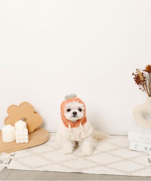 moncheri(モンシェリ)の「フルーツフードボアパーカー(ペットウェア・レディース・オレンジ/ピンク・S/L/XL/M/2M/XS)」の10枚目の写真