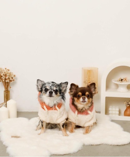 moncheri(モンシェリ)の「フルーツフードボアパーカー(ペットウェア・レディース・オレンジ/ピンク・S/L/XL/M/2M/XS)」の22枚目の写真