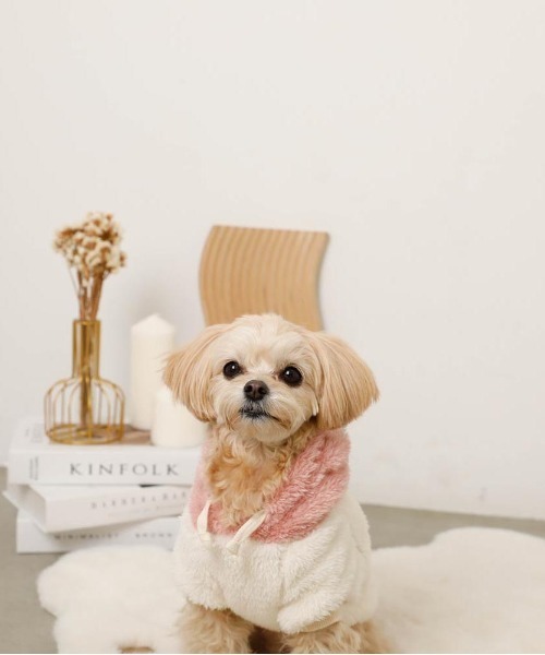 moncheri(モンシェリ)の「フルーツフードボアパーカー(ペットウェア・レディース・オレンジ/ピンク・S/L/XL/M/2M/XS)」の21枚目の写真