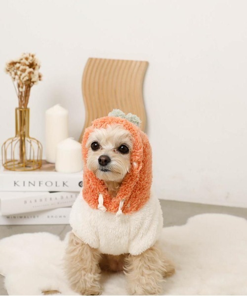 moncheri(モンシェリ)の「フルーツフードボアパーカー(ペットウェア・レディース・オレンジ/ピンク・S/L/XL/M/2M/XS)」の20枚目の写真