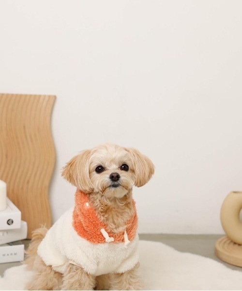 moncheri(モンシェリ)の「フルーツフードボアパーカー(ペットウェア・レディース・オレンジ/ピンク・S/L/XL/M/2M/XS)」の19枚目の写真