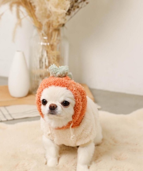 moncheri(モンシェリ)の「フルーツフードボアパーカー(ペットウェア・レディース・オレンジ/ピンク・S/L/XL/M/2M/XS)」の18枚目の写真