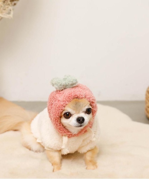 moncheri(モンシェリ)の「フルーツフードボアパーカー(ペットウェア・レディース・オレンジ/ピンク・S/L/XL/M/2M/XS)」の17枚目の写真