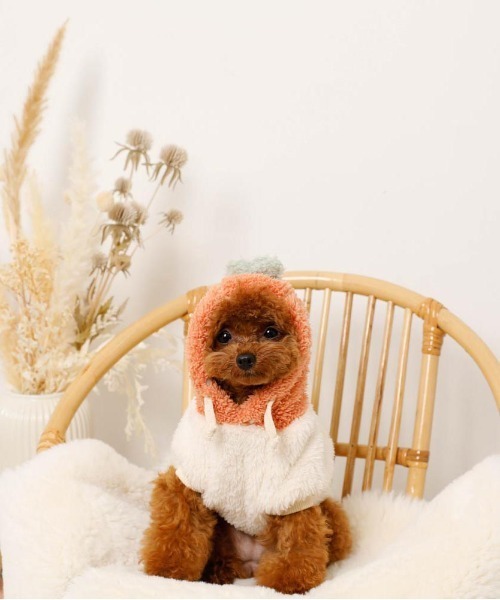 moncheri(モンシェリ)の「フルーツフードボアパーカー(ペットウェア・レディース・オレンジ/ピンク・S/L/XL/M/2M/XS)」の14枚目の写真