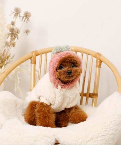 moncheri(モンシェリ)の「フルーツフードボアパーカー(ペットウェア・レディース・オレンジ/ピンク・S/L/XL/M/2M/XS)」の12枚目の写真