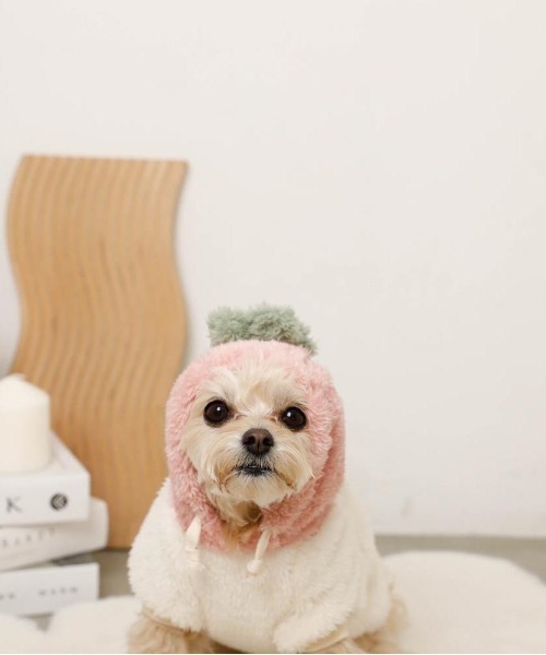 moncheri(モンシェリ)の「フルーツフードボアパーカー(ペットウェア・レディース・オレンジ/ピンク・S/L/XL/M/2M/XS)」の11枚目の写真