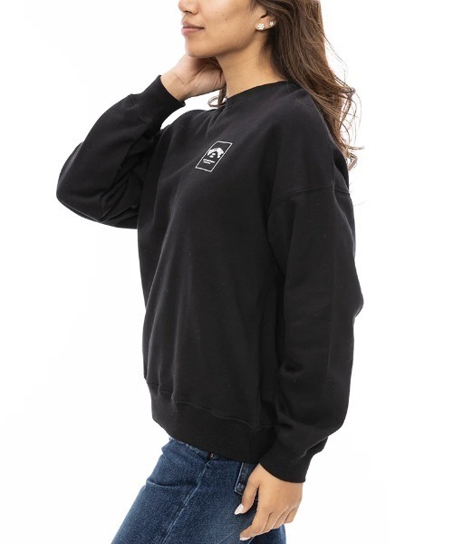 BILLABONG(ビラボン)の「【BILLABONG/ビラボン】24AW PATTERN LOGO SWEAT/バックプリントスウェットトレーナー(スウェット・レディース・ヘザーグレー/ブラック/ブラック系その他2/ライトブラウン/ホワイト・LARGE/MEDIUM)」の16枚目の写真