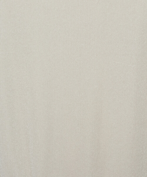 K.T KIYOKO TAKASE(キヨコタカセ)の「シアーベロア ラウンドネックプルオーバー(Tシャツ/カットソー・レディース・サックスブルー/ブラック/グレイッシュベージュ・9号/11号)」の17枚目の写真