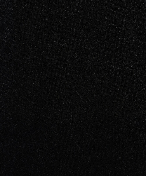 K.T KIYOKO TAKASE(キヨコタカセ)の「シアーベロア ラウンドネックプルオーバー(Tシャツ/カットソー・レディース・サックスブルー/ブラック/グレイッシュベージュ・9号/11号)」の18枚目の写真