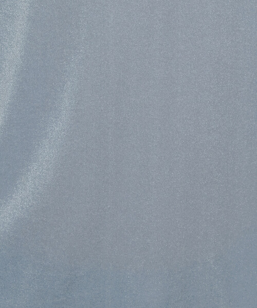 K.T KIYOKO TAKASE(キヨコタカセ)の「シアーベロア ラウンドネックプルオーバー(Tシャツ/カットソー・レディース・サックスブルー/ブラック/グレイッシュベージュ・9号/11号)」の19枚目の写真