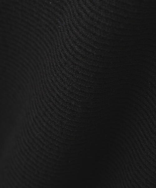 EDIT COLOGNE（エディットコロン）の「＜Ｅ＞ポロミニニットワンピース / 1216147002（ワンピース・レディース・ホワイト系その他/ブラック・MEDIUM/SMALL）」の14枚目の写真