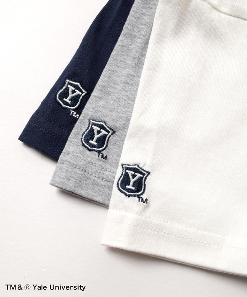 GLAZOS(グラソス)の「【大人向けサイズあり】【YALE】コットン・半袖YALEロゴTシャツ(Tシャツ/カットソー・キッズ・ネイビー/ホワイト/グレー・140cm/150cm/160cm/170cm)」の12枚目の写真