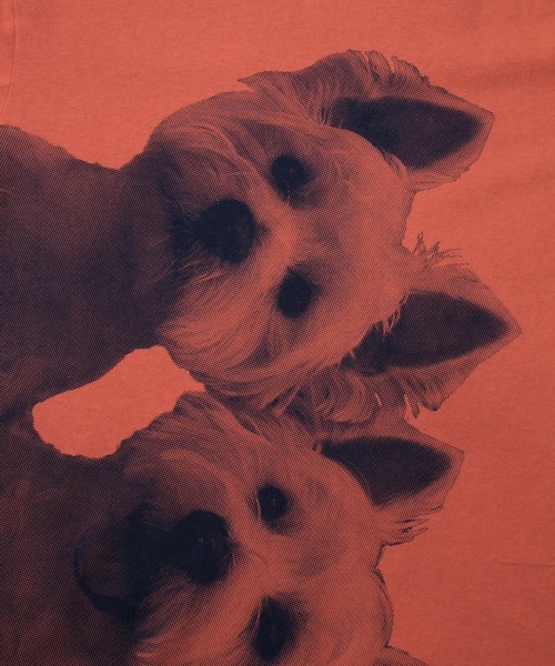 go slow caravan（ゴースローキャラバン）の「USA/C テリア犬BIG６分袖TEE（Tシャツ/カットソー・メンズ・ホワイト/ブルー/サーモンピンク・X-LARGE/LARGE/MEDIUM）」の5枚目の写真