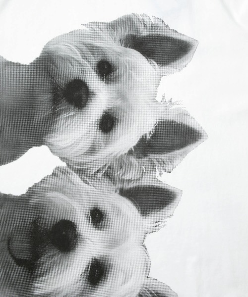 go slow caravan（ゴースローキャラバン）の「USA/C テリア犬BIG６分袖TEE（Tシャツ/カットソー・メンズ・ホワイト/ブルー/サーモンピンク・X-LARGE/LARGE/MEDIUM）」の12枚目の写真