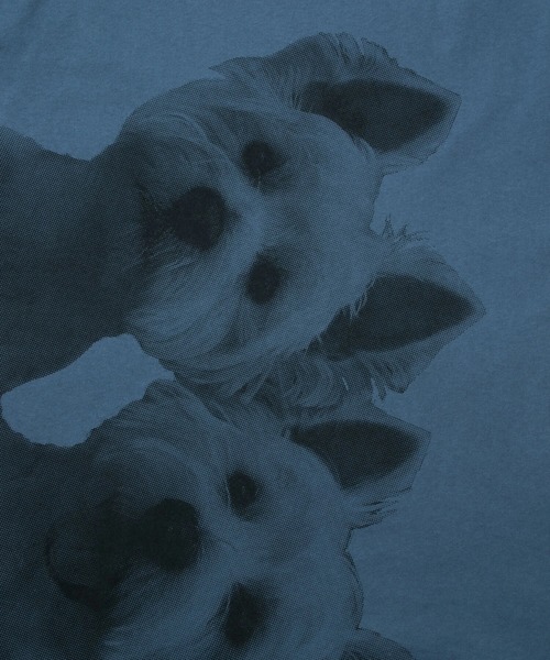 go slow caravan（ゴースローキャラバン）の「USA/C テリア犬BIG６分袖TEE（Tシャツ/カットソー・メンズ・ホワイト/ブルー/サーモンピンク・X-LARGE/LARGE/MEDIUM）」の15枚目の写真