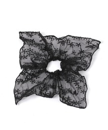 レースシュシュ