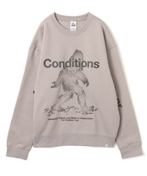 NIKE ACG（ナイキエィシージー）の「NIKE AS U ACG TF TUFF FLC PO OC SSN / ナイキ ACG TF TUFF OC SSN フリースプルオーバー L/S トップ 【SP】（スウェット）」