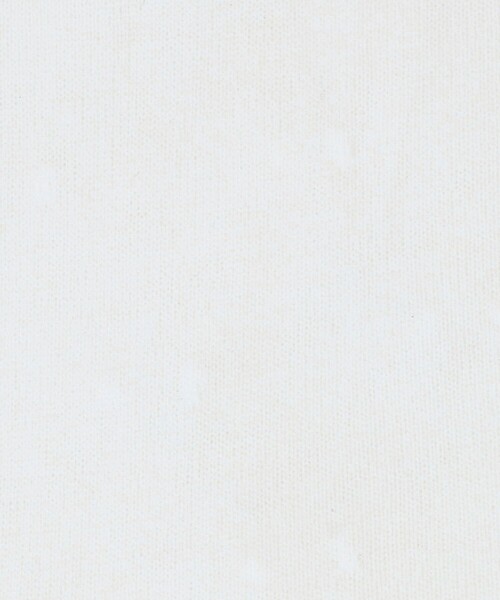 Steven Alan(スティーブンアラン)の「<Steven Alan>シアー ドット ソックス(ソックス/靴下・レディース・ブラック/オフホワイト・FREE)」の7枚目の写真