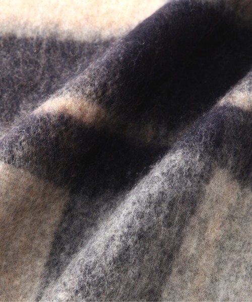 N.（N. Natural Beauty Basic）（エヌエヌナチュラルビューティーベーシック）の「◆フリンジチェックストール（ストール/ショール・レディース・ベージュ系その他・ﾌﾘ-）」の5枚目の写真
