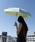 Wpc.i_us[V[j́uSՌ ՌCTChJ[tiny P ܂肽݁i܂肽ݎPjvbTbNXu[