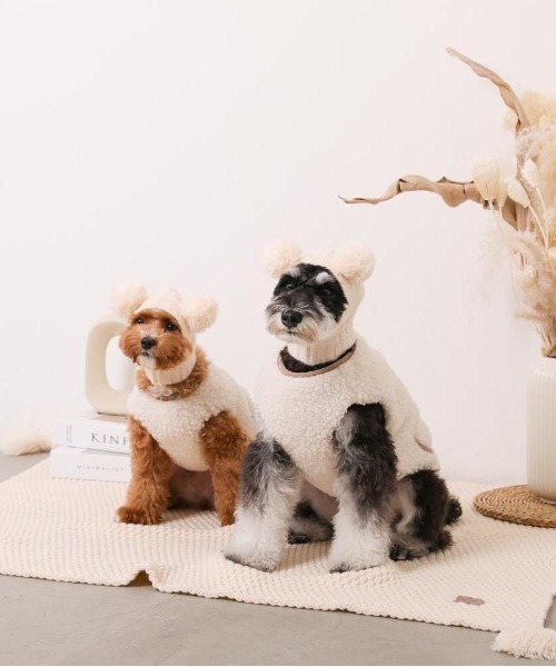moncheri(モンシェリ)の「くま耳ポンポンケーブルニット帽 / 犬服 / ドッグウェア(その他ペットグッズ・レディース・ベージュ/アイボリー・M/S)」の10枚目の写真