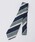 SHIPS Colors�i�V�b�v�X �J���[�Y�j�́uSHIPS Colors:�V���N �X�g���C�v �l�N�^�C 2���i�l�N�^�C�j�v�b���C�g�O���[��