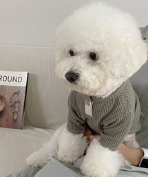 Dalfwin（ダールフィン）の「ペットウェア ヘンリーネックワッフル生地トップス（ペットウェア）」