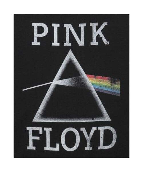 Bravado(ブラヴァド)の「PINK FLOYD TRIANGLE HOODIE (BRENT2039)(パーカー・メンズ・その他・M/L/XL)」の5枚目の写真