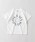 DRC branshes�i�f�B�[�A�[���V�[�u�����V�F�X�j�́u�yDRC/WEB����z�K�[���Y�A�\�[�g�O���t�B�b�N����T�V���c�iT�V���c/�J�b�g�\�[�j�v�b���̑�2