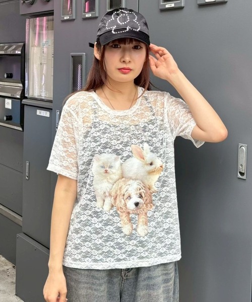 Candy Stripper(キャンディストリッパー)の「ANIMAL PRINT LACE Tシャツ(Tシャツ/カットソー・レディース・ブラック/オフホワイト・FREE)」の15枚目の写真