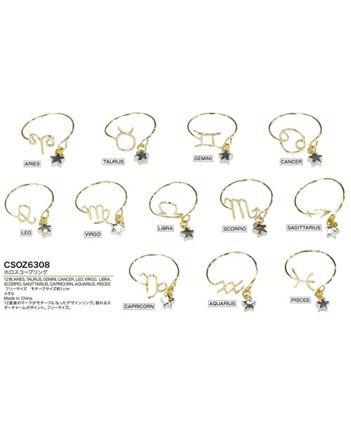 チャイハネ（チャイハネ）の「【チャイハネ】HAPPY HOROSCOPE 12星座リング（リング・レディース・その他1/その他11/その他2/その他3/その他5/その他10/その他8/その他7/その他12/その他9/その他4/その他6・FREE）」の15枚目の写真