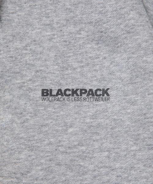 ROTTWEILER（ロットワイラー）の「GRAY PARKA（パーカー・メンズ・グレー/ブラック・L/M/S/XL）」の12枚目の写真