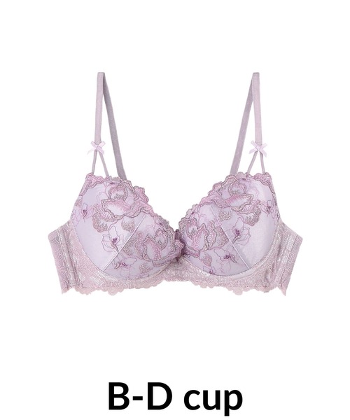 y14 新品 Ravijour ラヴィジュール レース セットアップ C65 Ravijour（ラヴィジュール）の「カバーレースブラショーツセット