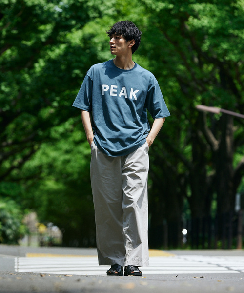 JOURNAL STANDARD relume（ジャーナルスタンダード　レリューム）の「《追加》SNOW PEAK / スノーピーク 別注 SP Logo Tシャツ（Tシャツ/カットソー・メンズ・ブラック/ピンク/ブルー・SMALL/MEDIUM/LARGE）」の4枚目の写真