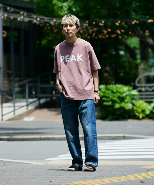 JOURNAL STANDARD relume（ジャーナルスタンダード　レリューム）の「《追加》SNOW PEAK / スノーピーク 別注 SP Logo Tシャツ（Tシャツ/カットソー・メンズ・ブラック/ピンク/ブルー・SMALL/MEDIUM/LARGE）」の6枚目の写真