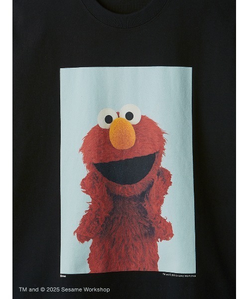 SESAME STREET（セサミストリート）の「【UNISEX】フォトアートTシャツ（Tシャツ/カットソー・レディース・レッド/チャコールグレー/ブルー・SMALL/MEDIUM/LARGE）」の19枚目の写真