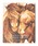 JAMES PERSE�i�W�F�[���X�p�[�X�j�́uTHE WILD HORSES OF SABLE ISLAND BOOK ABK2099�i�{�j�v�b���̑�1