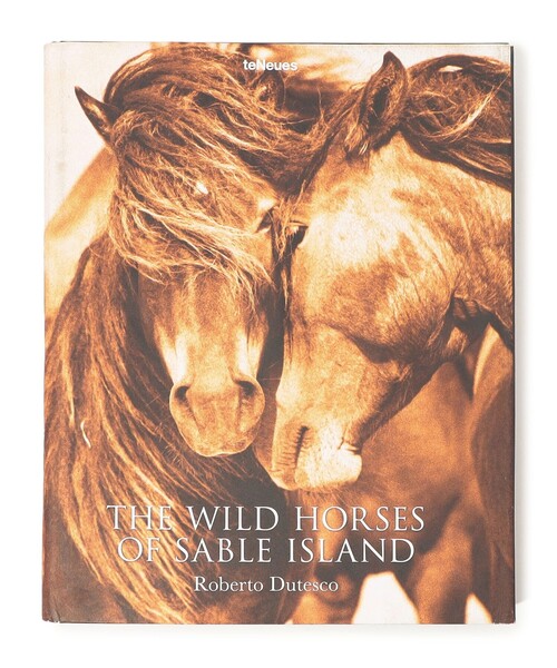 JAMES PERSE（ジェームスパース）の「THE WILD HORSES OF SABLE ISLAND BOOK ABK2099（本・メンズ・その他1・FREE）」の2枚目の写真