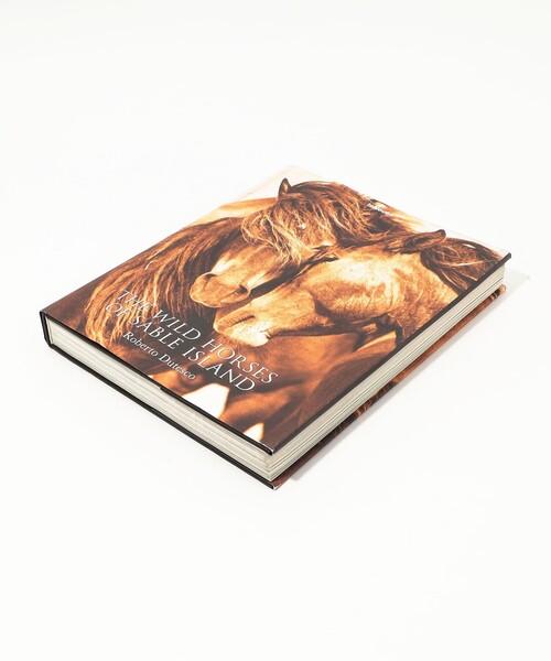 JAMES PERSE（ジェームスパース）の「THE WILD HORSES OF SABLE ISLAND BOOK ABK2099（本・メンズ・その他1・FREE）」の3枚目の写真