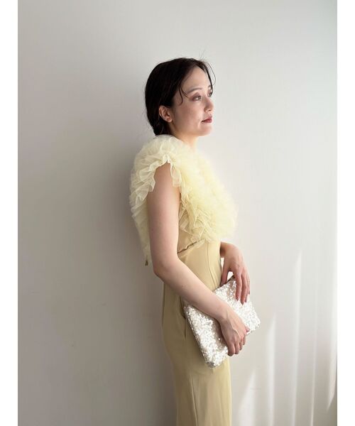 LAGUNAMOON(ラグナムーン)の「LADYショルダーチュールIラインドレス 結婚式 お呼ばれ(ドレス・レディース・ベージュ/ブラック・SMALL/MEDIUM)」の6枚目の写真