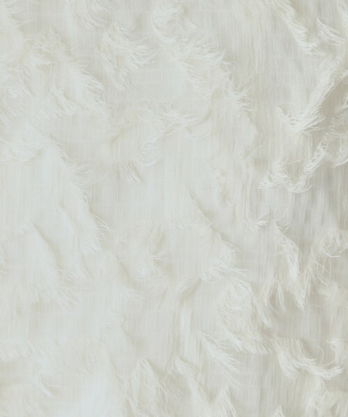 DRESSTERIOR（ドレステリア）の「【セットアップ可/トレンド】カットジャカードフレンチスリーブブラウス（シャツ/ブラウス・レディース・ブラック/アイボリー・34/36/38）」の17枚目の写真