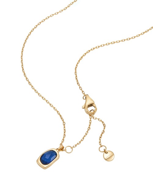 SKAGEN（スカーゲン）の「スカーゲン アクセサリー レディース ネックレス ゴールド SKJ1884710（ネックレス・レディース・マルチ・FREE）」の7枚目の写真