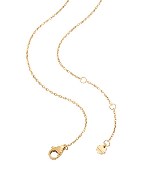 SKAGEN（スカーゲン）の「スカーゲン アクセサリー レディース ネックレス ゴールド SKJ1884710（ネックレス・レディース・マルチ・FREE）」の5枚目の写真