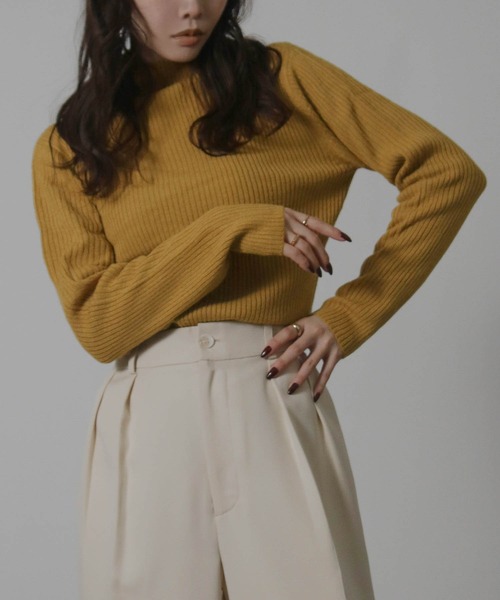 NYLAUS（ナイラス）の「【SG】ハイネック リブニットプルオーバー インナー（ニット/セーター・レディース・イエロー/ベージュ/オフホワイト/ブルー/ブラック・L）」の5枚目の写真