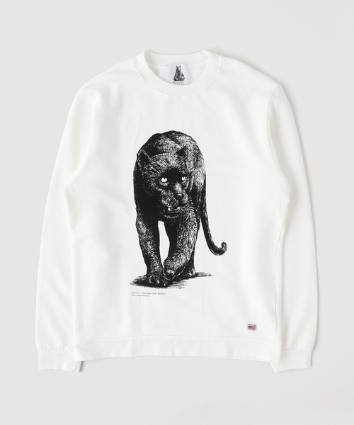 niche.(ニッチ)の「Niche. / ニッチ USA Crew Neck Sweat(スウェット・メンズ・オフホワイト/ホワイト/ライトホワイト/White/ホワイト×ホワイト/ホワイト系その他・MEDIUM/LARGE/SMALL)」の6枚目の写真