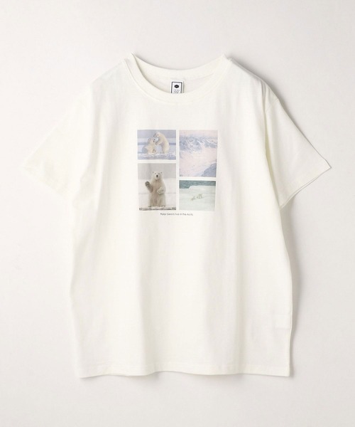 179/WG(イチナナキュウダブルジー)の「シロクマTシャツ(Tシャツ/カットソー・レディース・ブルー/ブラック/オフホワイト・FREE)」の4枚目の写真